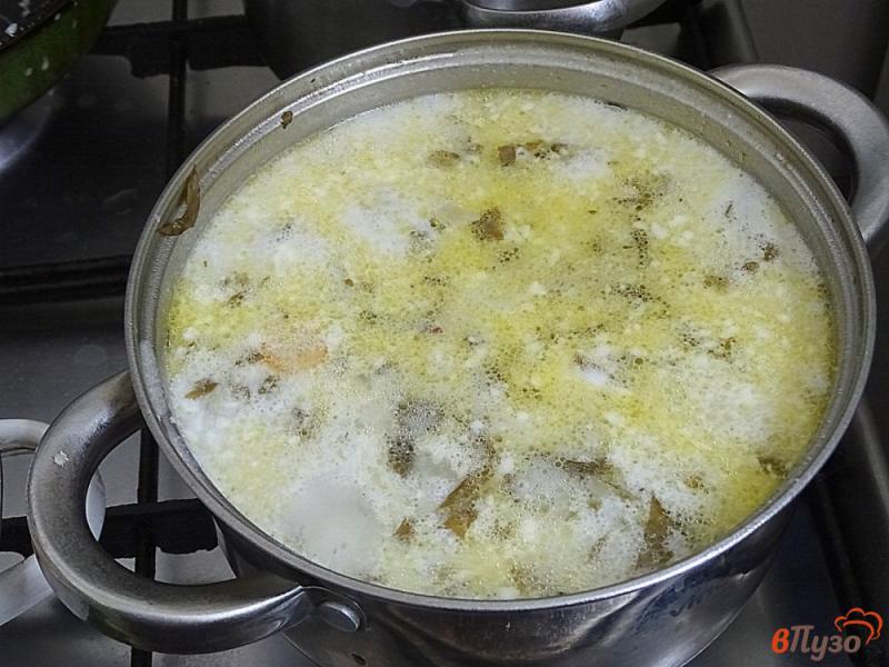 Фото приготовление рецепта: Суп со щавелем и капустой шаг №9