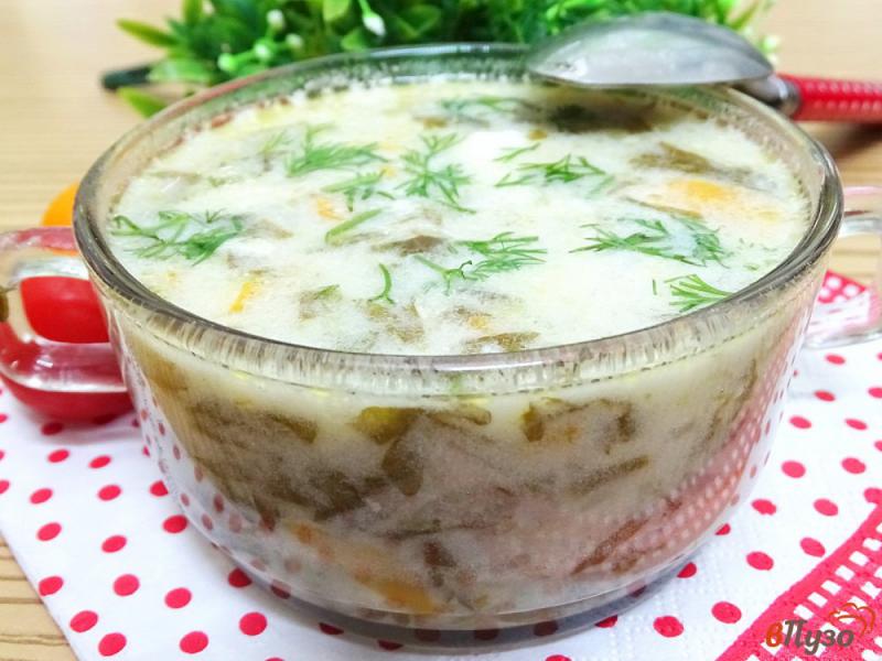 Фото приготовление рецепта: Суп со щавелем и капустой шаг №10