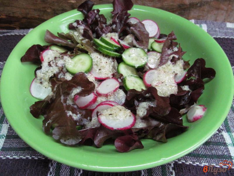 Фото приготовление рецепта: Хрустящий салат под соусом их хрена шаг №6