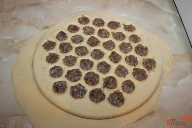 Фото приготовление рецепта: Домашние пельмени с утиным мясом и укропом шаг №6