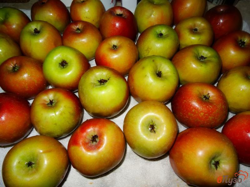 Фото приготовление рецепта: Яблочное варенье без сахара шаг №1