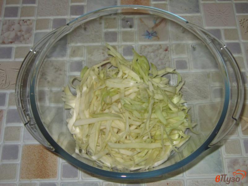 Фото приготовление рецепта: Салат капустный шаг №1