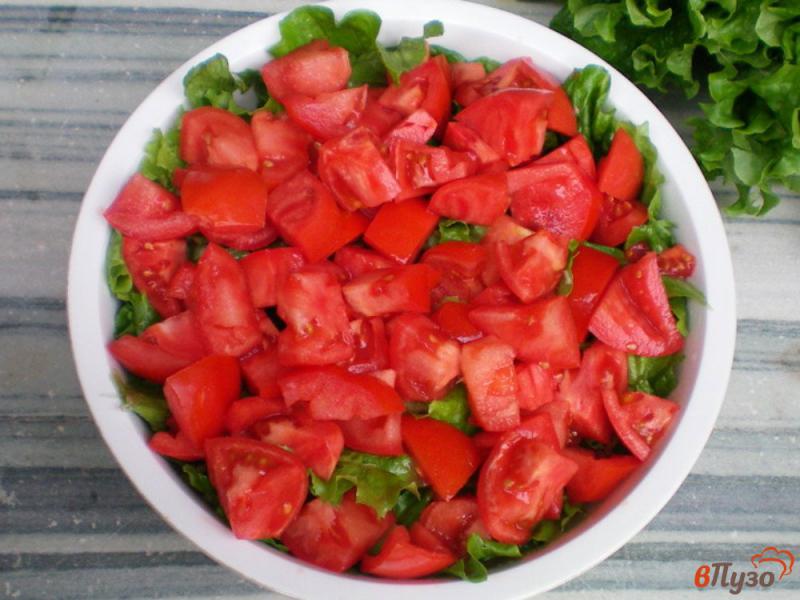 Фото приготовление рецепта: Салат с оливками и фетой по гречески шаг №2