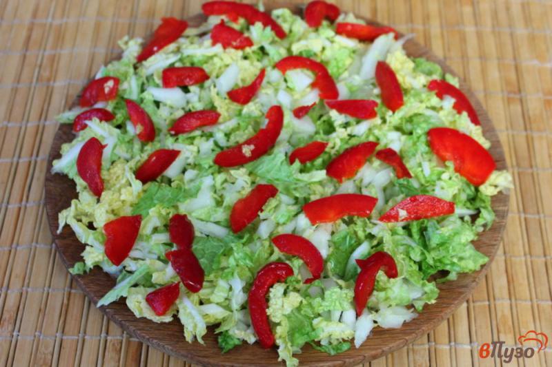 Фото приготовление рецепта: Салат из пекинской капусты с помидорами и моцареллой шаг №2