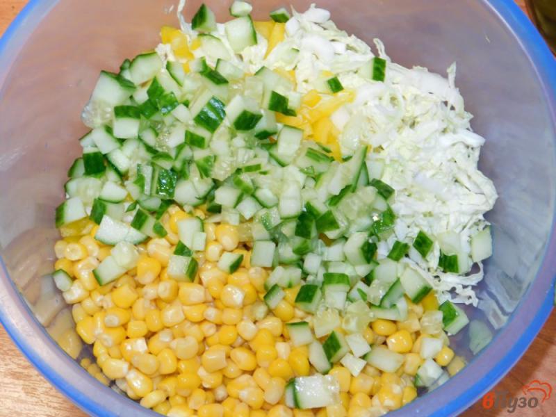 Фото приготовление рецепта: Зимний овощной салат шаг №3