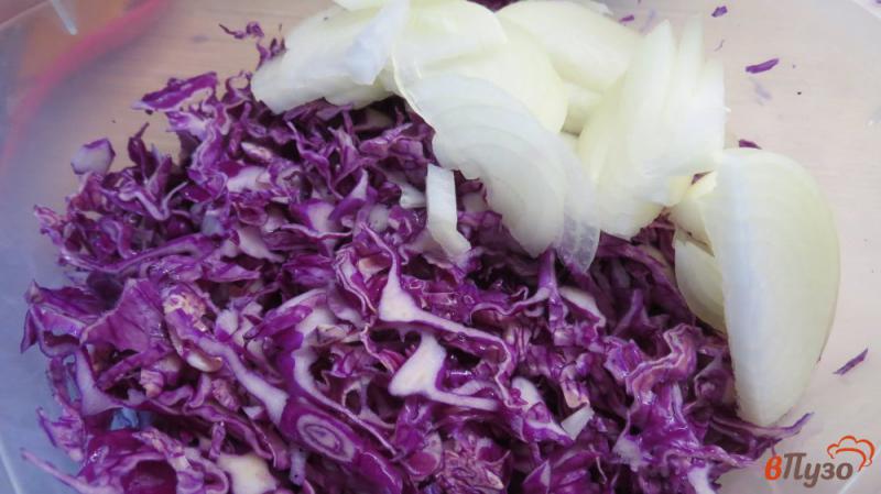Фото приготовление рецепта: Салат с красной капустой шаг №2