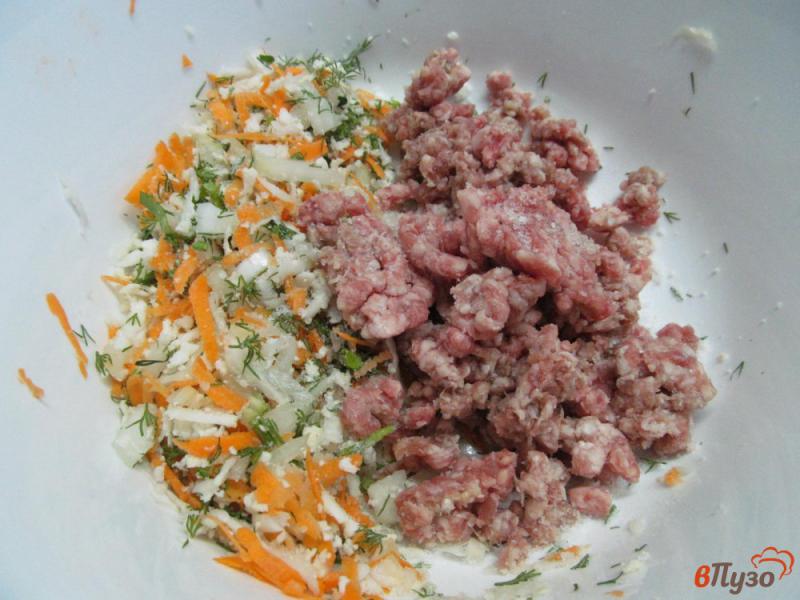 Фото приготовление рецепта: Мясные котлеты с цветной капустой и морковью шаг №4