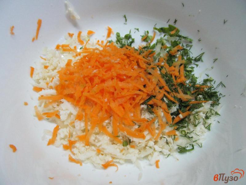 Фото приготовление рецепта: Мясные котлеты с цветной капустой и морковью шаг №3