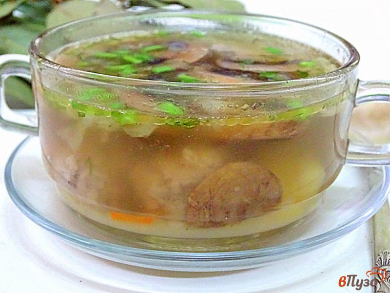 Фото приготовление рецепта: Суп грибной с фрикадельками шаг №7