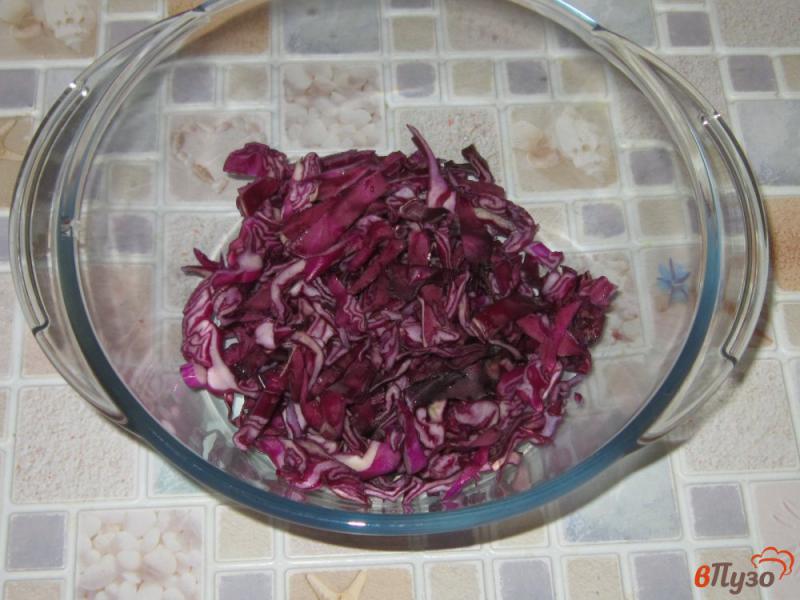 Фото приготовление рецепта: Салат из квашеной и краснокочанной капусты шаг №1