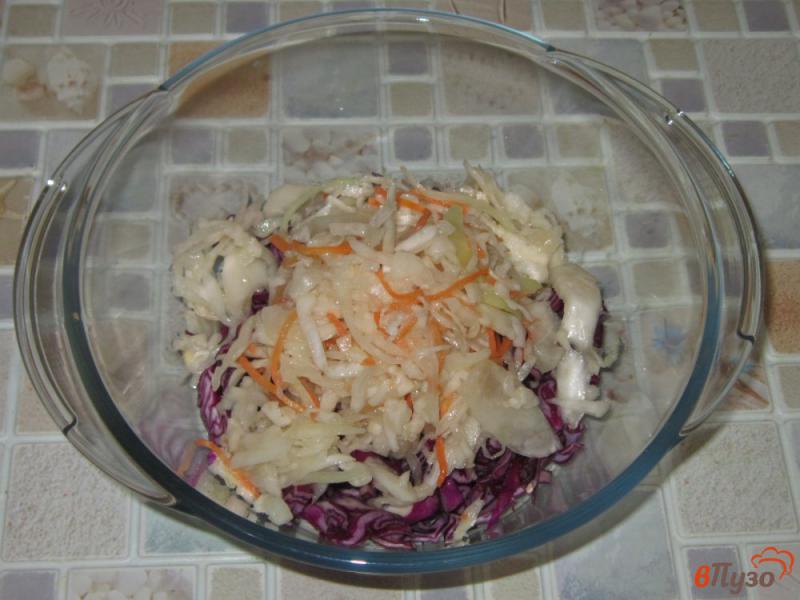 Фото приготовление рецепта: Салат из квашеной и краснокочанной капусты шаг №2