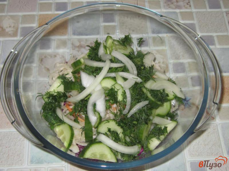 Фото приготовление рецепта: Салат из квашеной и краснокочанной капусты шаг №4