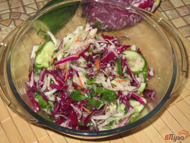 Фото приготовление рецепта: Салат из квашеной и краснокочанной капусты шаг №6