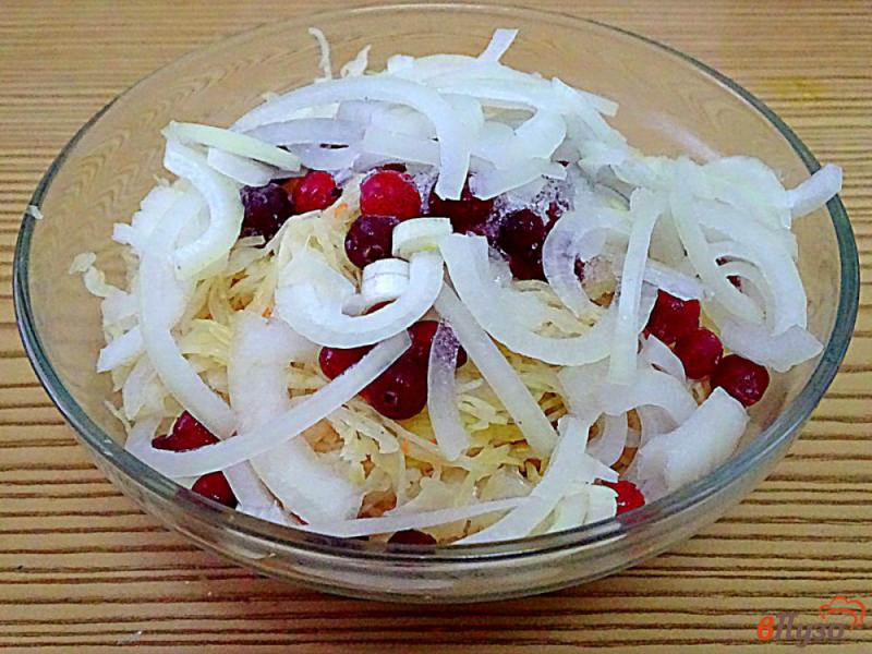 Фото приготовление рецепта: Салат из квашеной капусты с клюквой и яблоком шаг №3