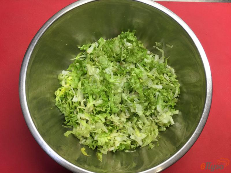 Фото приготовление рецепта: Салат из белокочанной капусты и зелени шаг №1
