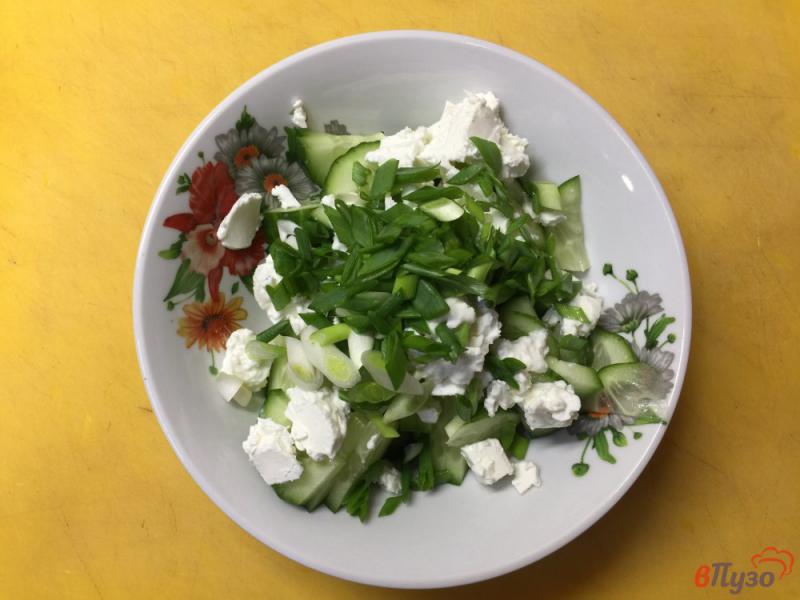 Фото приготовление рецепта: Салат из огурцов, зеленого лука и феты шаг №3