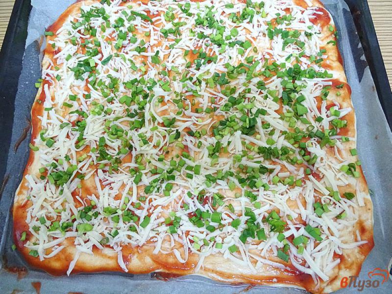 Фото приготовление рецепта: Пицца с двумя видами сыра шаг №16