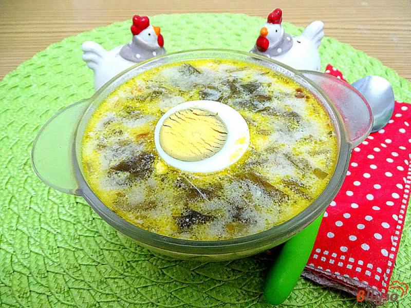 Фото приготовление рецепта: Суп из замороженого щавеля и сметаны шаг №9