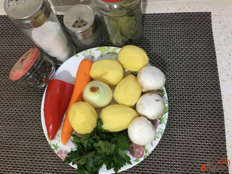 Фото приготовление рецепта: Овощной суп на курином бульоне шаг №1
