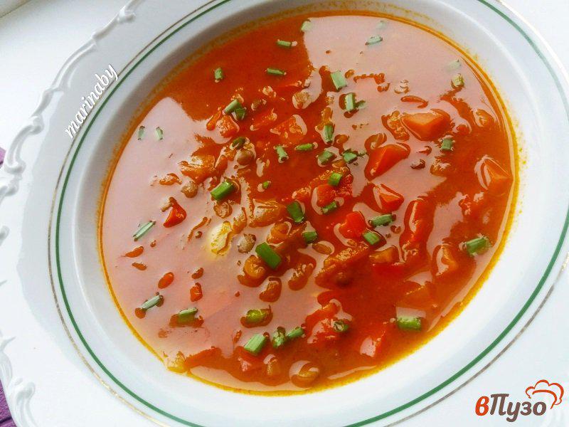Фото приготовление рецепта: Томатный суп из чечевицы шаг №9