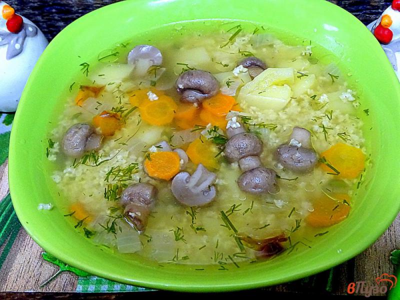 Фото приготовление рецепта: Суп из пшена и грибов шаг №7