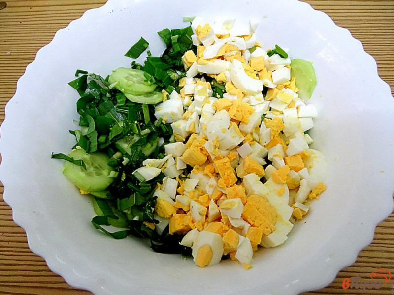 Фото приготовление рецепта: Салат из черемши с яйцом и огуцом шаг №3