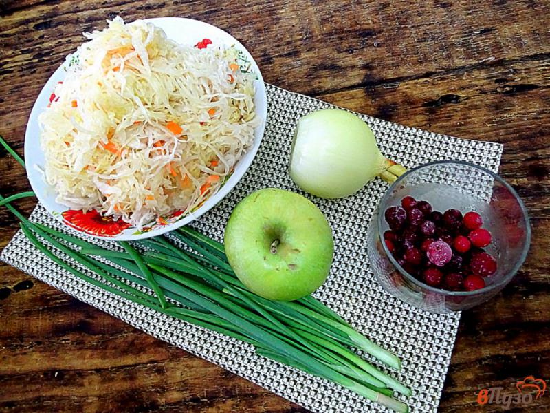 Фото приготовление рецепта: Салат из квашеной капусты с яблоком, клюквой и луком шаг №1