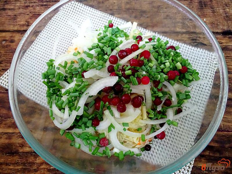 Фото приготовление рецепта: Салат из квашеной капусты с яблоком, клюквой и луком шаг №6