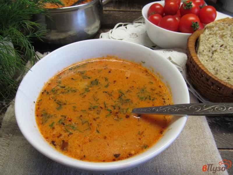 Фото приготовление рецепта: Куриный суп с рисом и томатом шаг №7