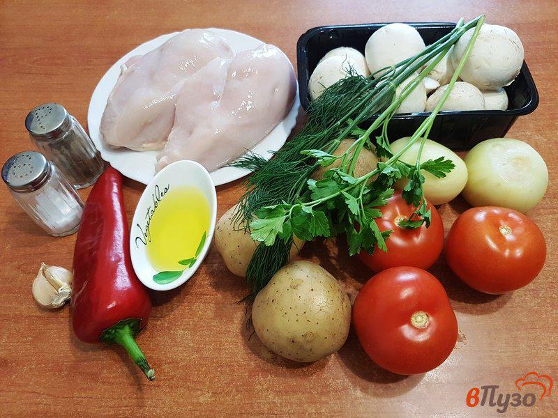 Фото приготовление рецепта: Суп-рагу с курицей и грибами шаг №1