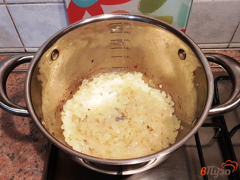Фото приготовление рецепта: Суп-рагу с курицей и грибами шаг №9
