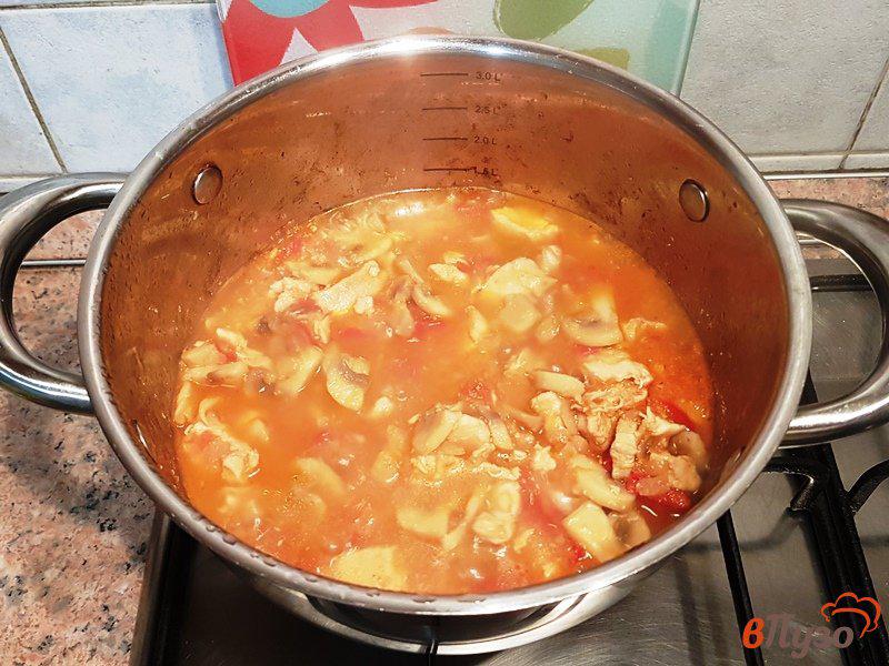 Фото приготовление рецепта: Суп-рагу с курицей и грибами шаг №12