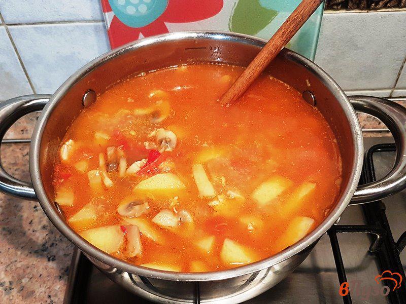 Фото приготовление рецепта: Суп-рагу с курицей и грибами шаг №13