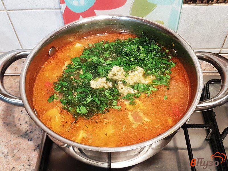Фото приготовление рецепта: Суп-рагу с курицей и грибами шаг №14
