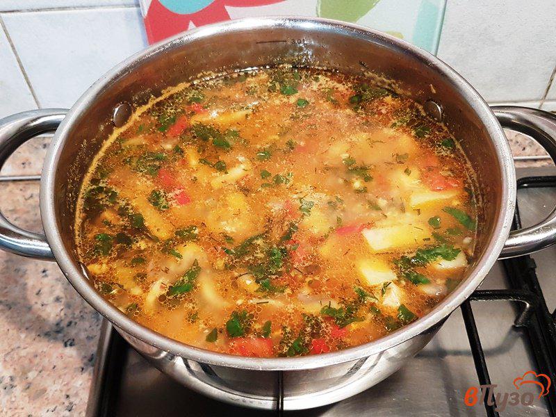 Фото приготовление рецепта: Суп-рагу с курицей и грибами шаг №15