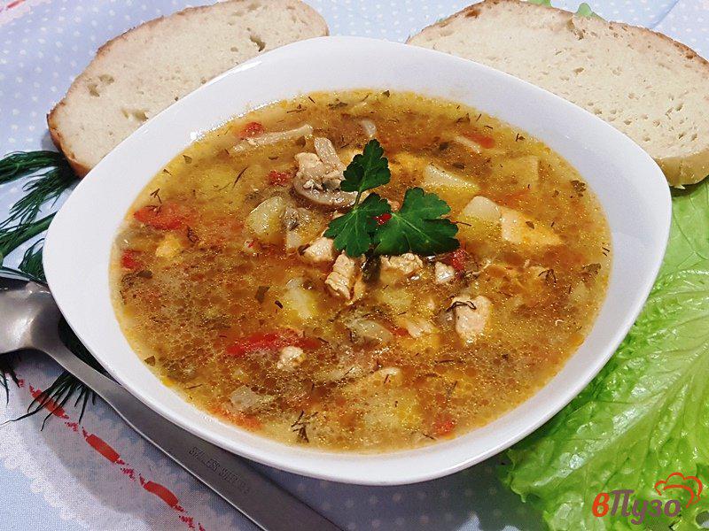 Фото приготовление рецепта: Суп-рагу с курицей и грибами шаг №16