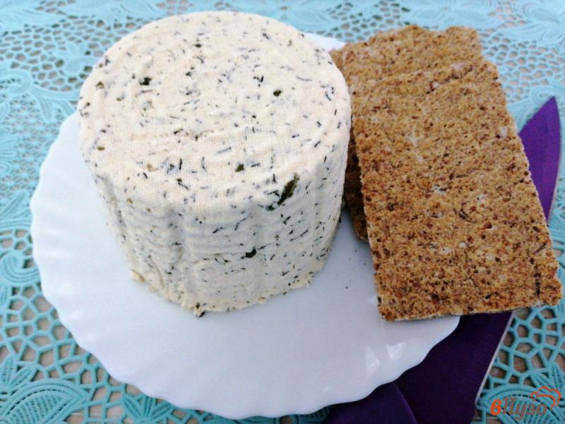 Фото приготовление рецепта: Творожный сыр с укропом и базиликом шаг №12