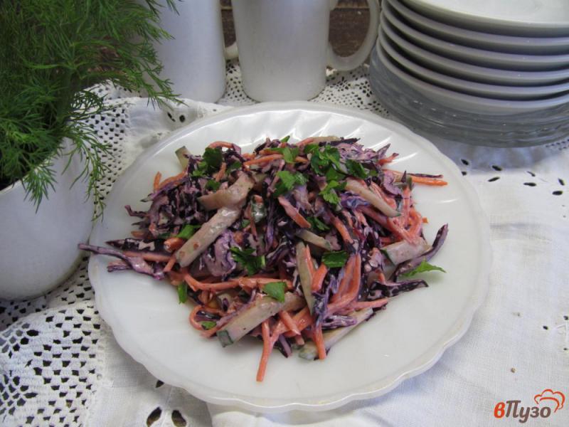 Фото приготовление рецепта: Салат из краснокочанной капусты с морковью по-корейски шаг №4