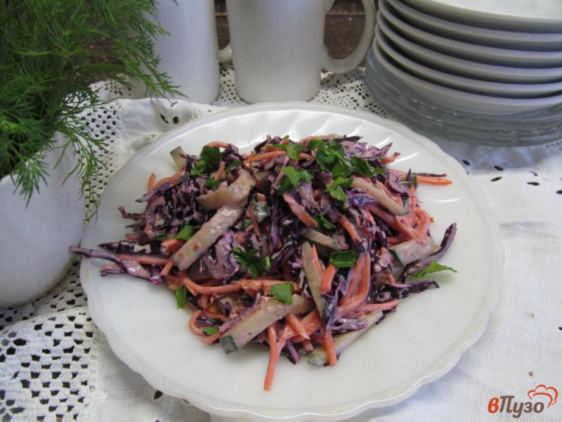 Фото приготовление рецепта: Салат из краснокочанной капусты с морковью по-корейски шаг №5