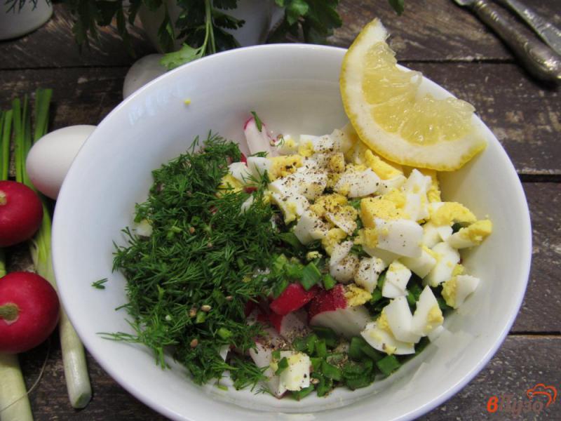 Фото приготовление рецепта: Салат из редиски с яйцом в сметанном соусе шаг №5