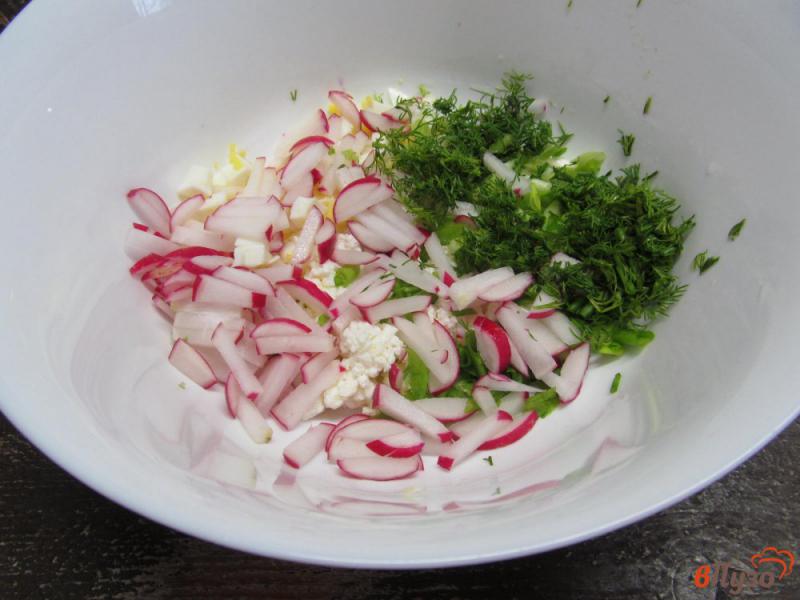 Фото приготовление рецепта: Салат из редиса с творогом шаг №3