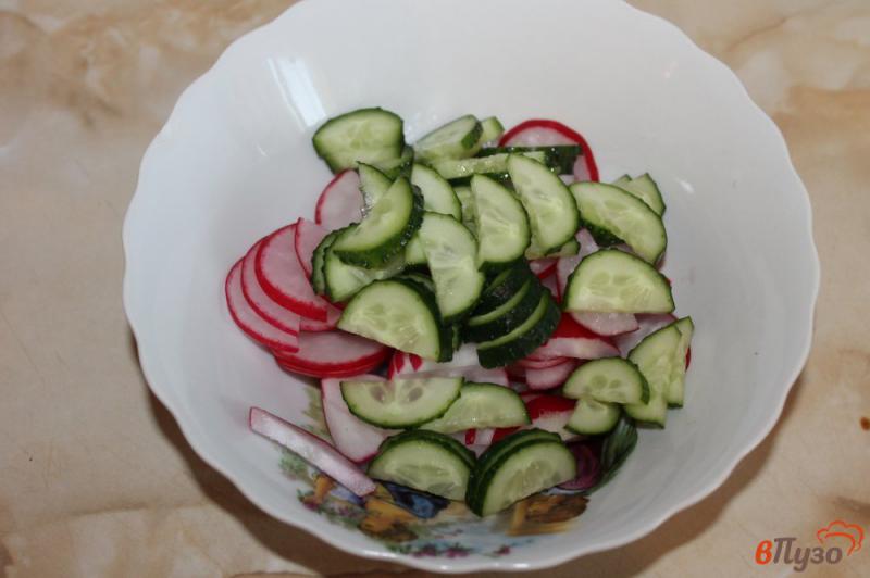 Фото приготовление рецепта: Салат из огурца и редиса шаг №2