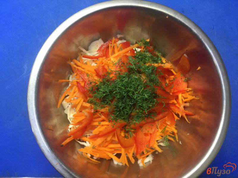 Фото приготовление рецепта: Салат из капусты с болгарским перцем и морковью шаг №4