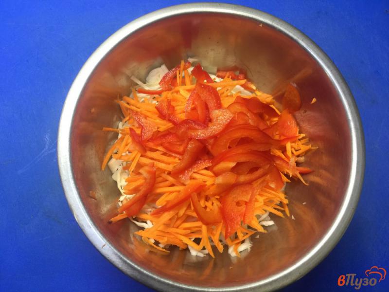 Фото приготовление рецепта: Салат из капусты с болгарским перцем и морковью шаг №3