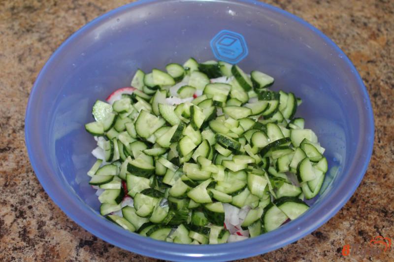 Фото приготовление рецепта: Салат из молодой капусты с редисом огурцом и зеленым луком шаг №2