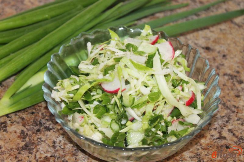 Фото приготовление рецепта: Салат из молодой капусты с редисом огурцом и зеленым луком шаг №5