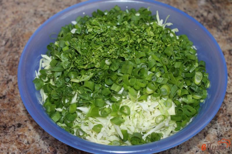 Фото приготовление рецепта: Салат из молодой капусты с редисом огурцом и зеленым луком шаг №4