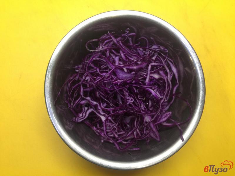 Фото приготовление рецепта: Салат из краснокочанной капусты с сыром и яйцом шаг №1