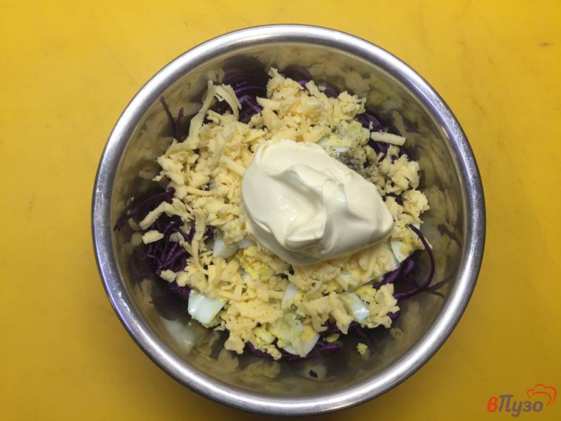 Фото приготовление рецепта: Салат из краснокочанной капусты с сыром и яйцом шаг №4