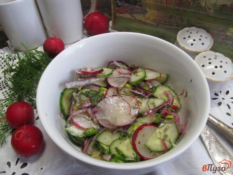 Фото приготовление рецепта: Салат из редиса с маринованным луком шаг №5